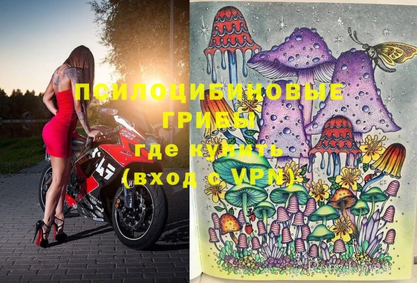 крисы Абинск