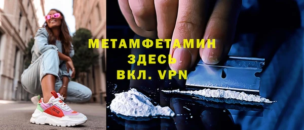 сатива Козловка