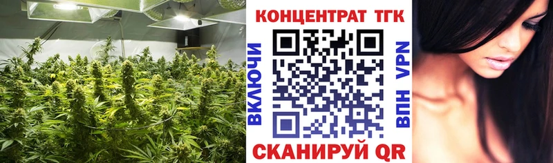 что такое наркотик мега онион Дистиллят ТГК концентрат Юрга