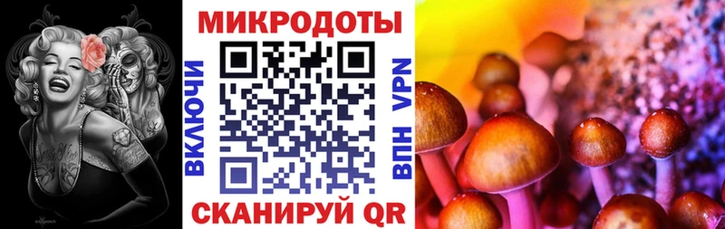 Галлюциногенные грибы прущие грибы  Юрга 